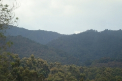 Camino al paramo (16)