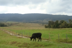 Camino al paramo (18)