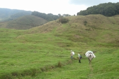 Camino al paramo (19)
