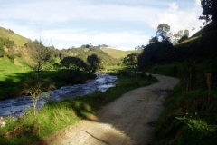 Camino al paramo (2)