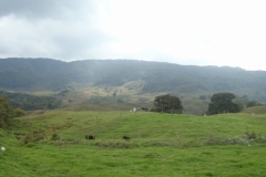Camino al paramo (20)