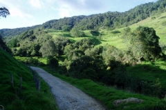 Camino al paramo (3)
