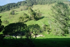 Camino al paramo (6)