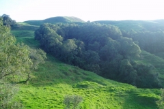 Camino al paramo (8)