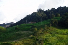 Camino al paramo (9)